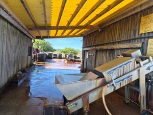 A vendre : Entreprise ostréicole sur le port de La Teste de Buch.